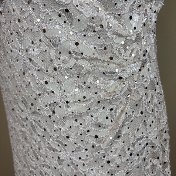 Dress Barn Est 1962 Cream Mesh/Lace Floral Sleeveless Pull On Stretch Midi Dress - Picture 7 of 15